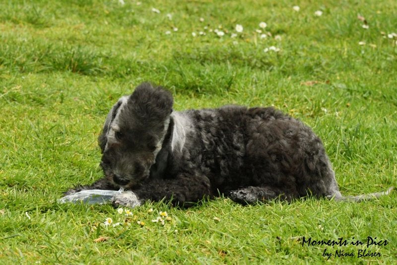 Antares 2009-07-12 (45).JPG